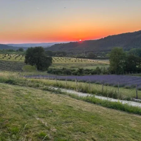 La Vielle Ferme - Domaine Prive De 80 Hectares - Climatisation * Saint-Germain-de-Belvès